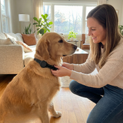 Collier GPS Be Track — Localisez votre chien en temps réel